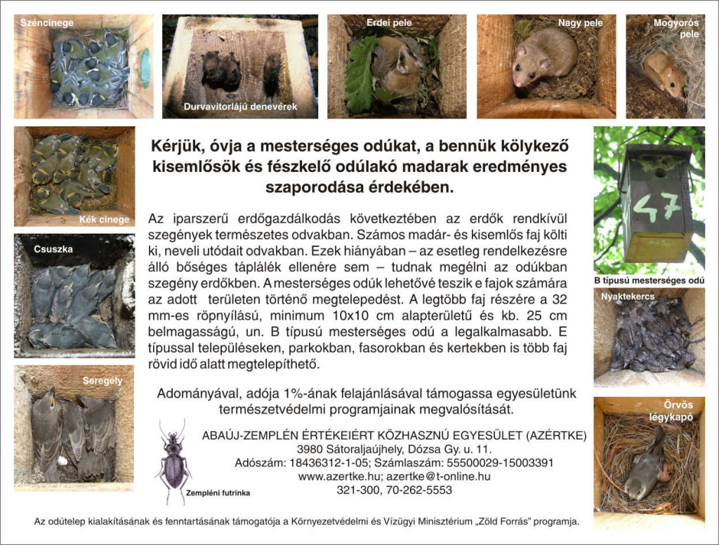 tajekoztato_tabla_terv